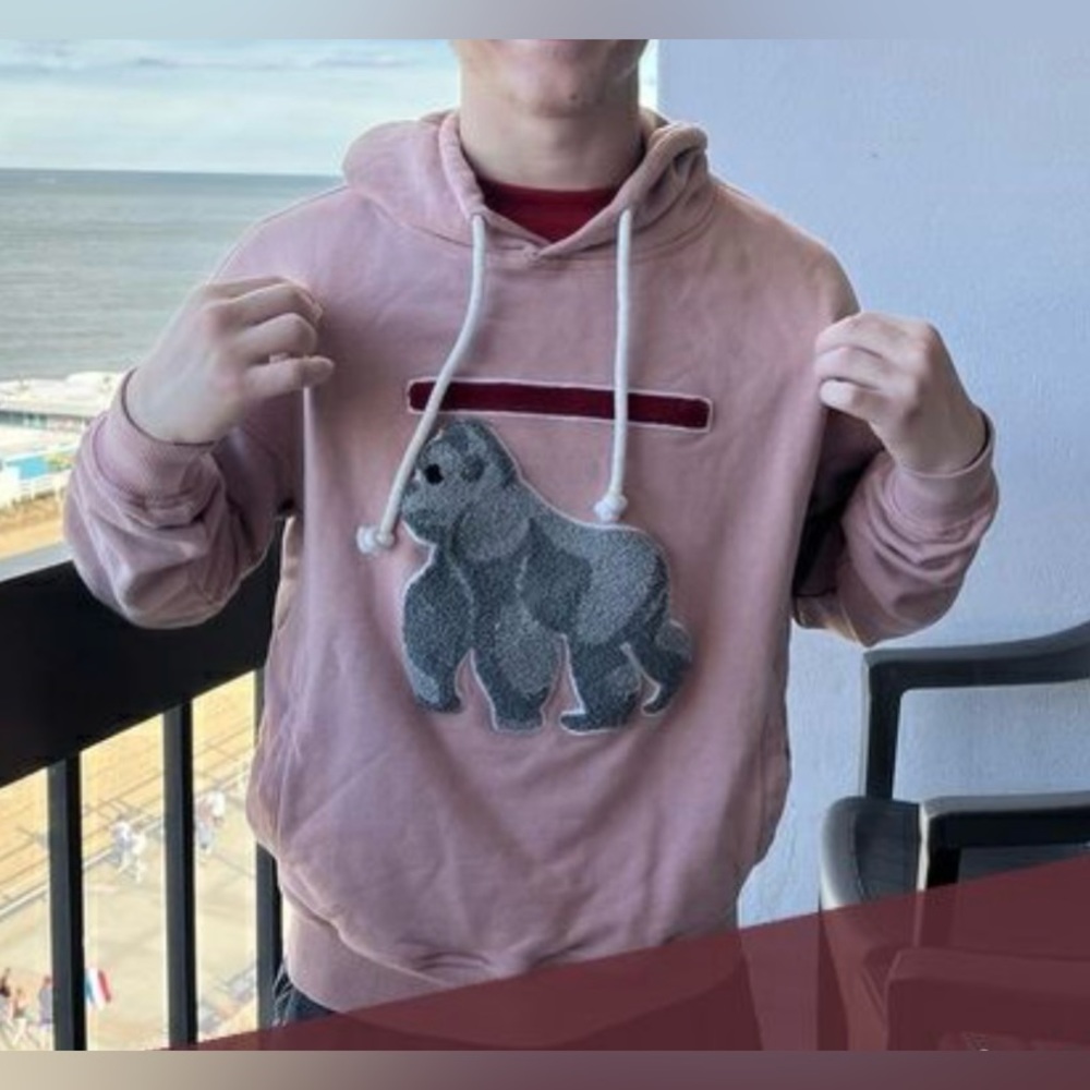 NWT RawGear Men’s Oversized Chenille Hoodie - Picture 2 of 10